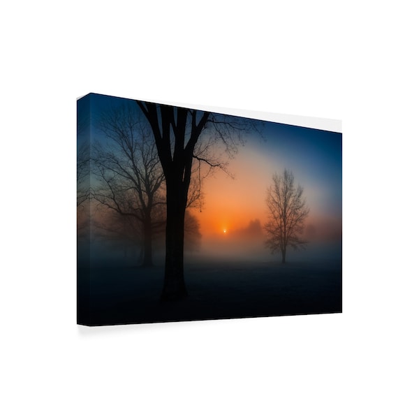 David Dai 'Foggy Sunrise' Canvas Art,30x47